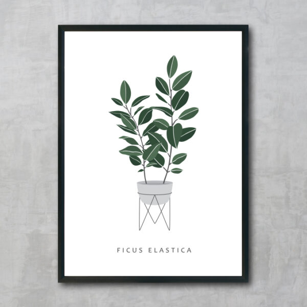 Növényes plakát